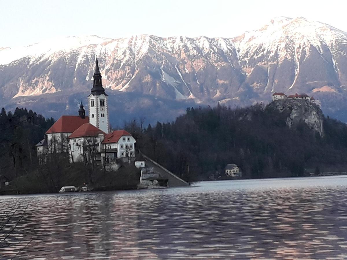 Alp Glamping Village Radovljica Esterno foto
